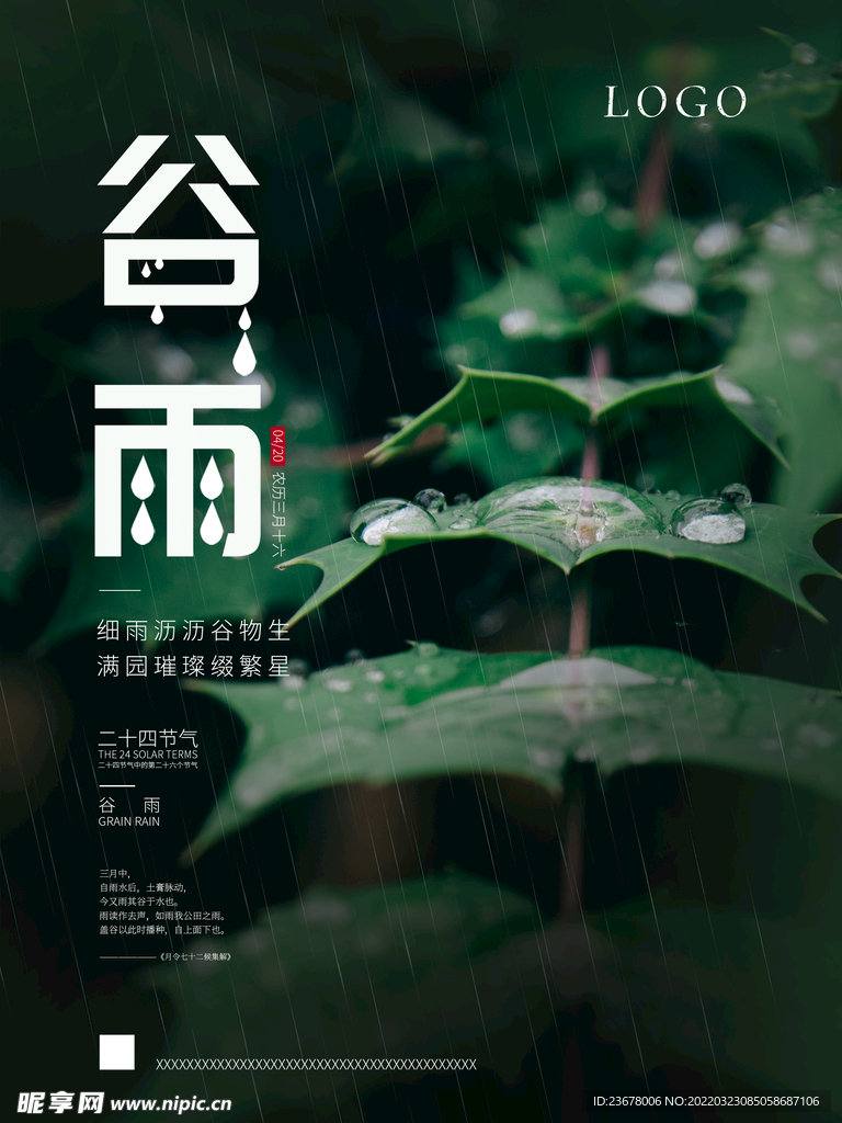 谷雨 插秧 播种 海报插画  