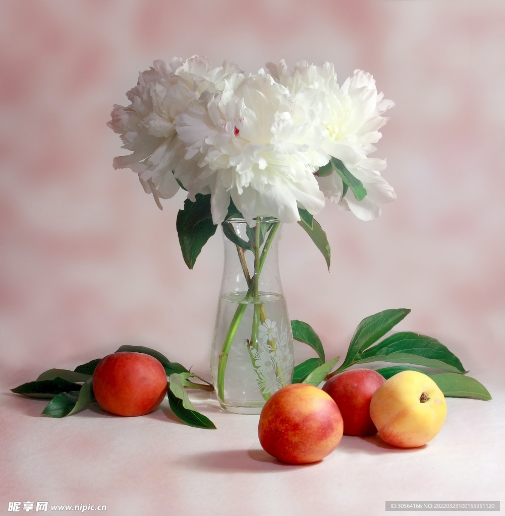 室内水果白色插花