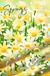 春季鲜花