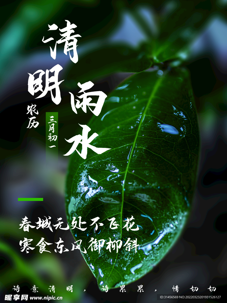 清明雨水