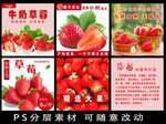 草莓主图