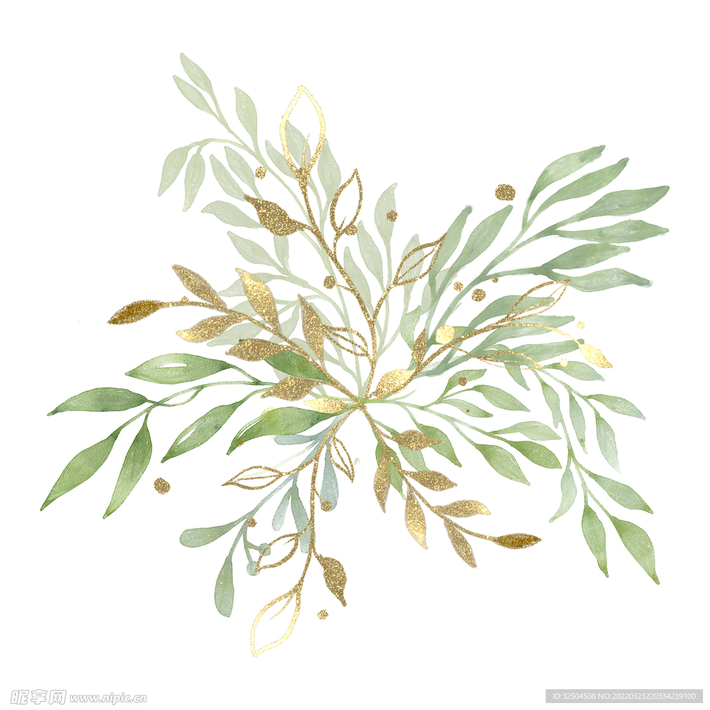 绿色植物叶子金边