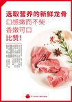 新鲜排骨生鲜摄影海报
