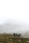 山