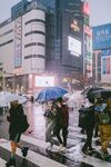 城市