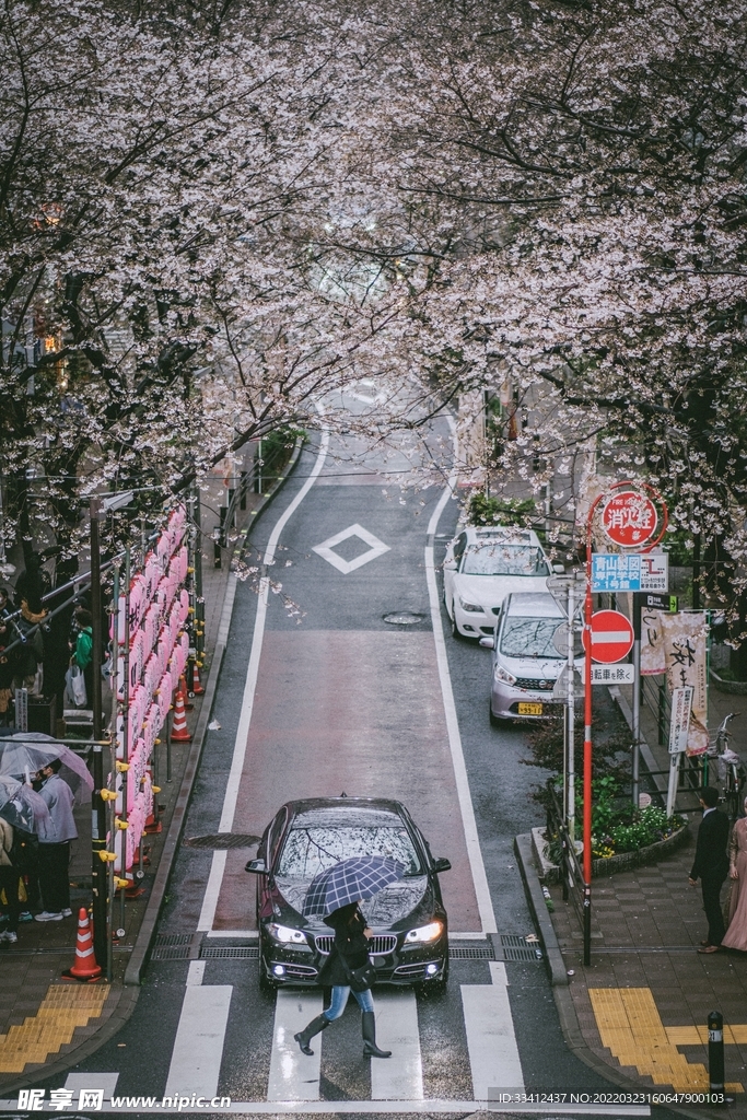 车