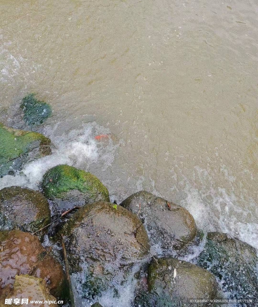 河边石头