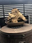 新会陈皮产品图