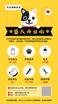 创意活泼宠物美容