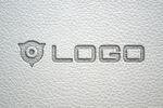 logo样机