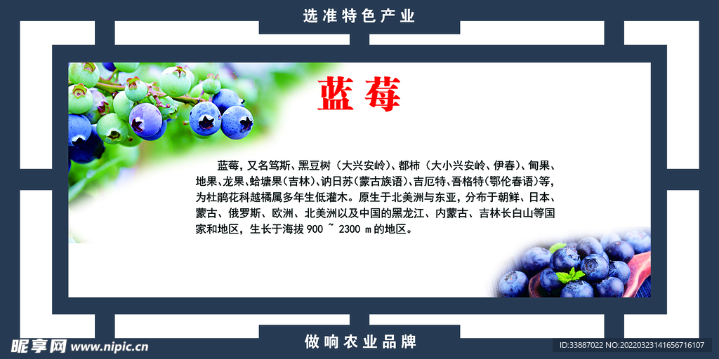 大棚水果蔬菜展板