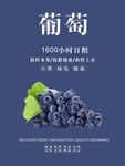 葡萄海报