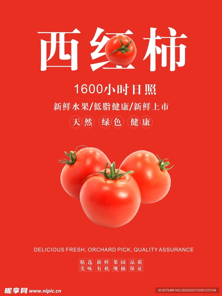 西红柿海报