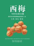 西梅海报