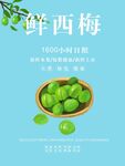 西梅海报