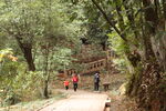 小路