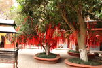 许愿 祝福
