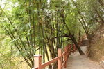小路