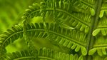 高清 壁纸 电脑 设计 创意 
