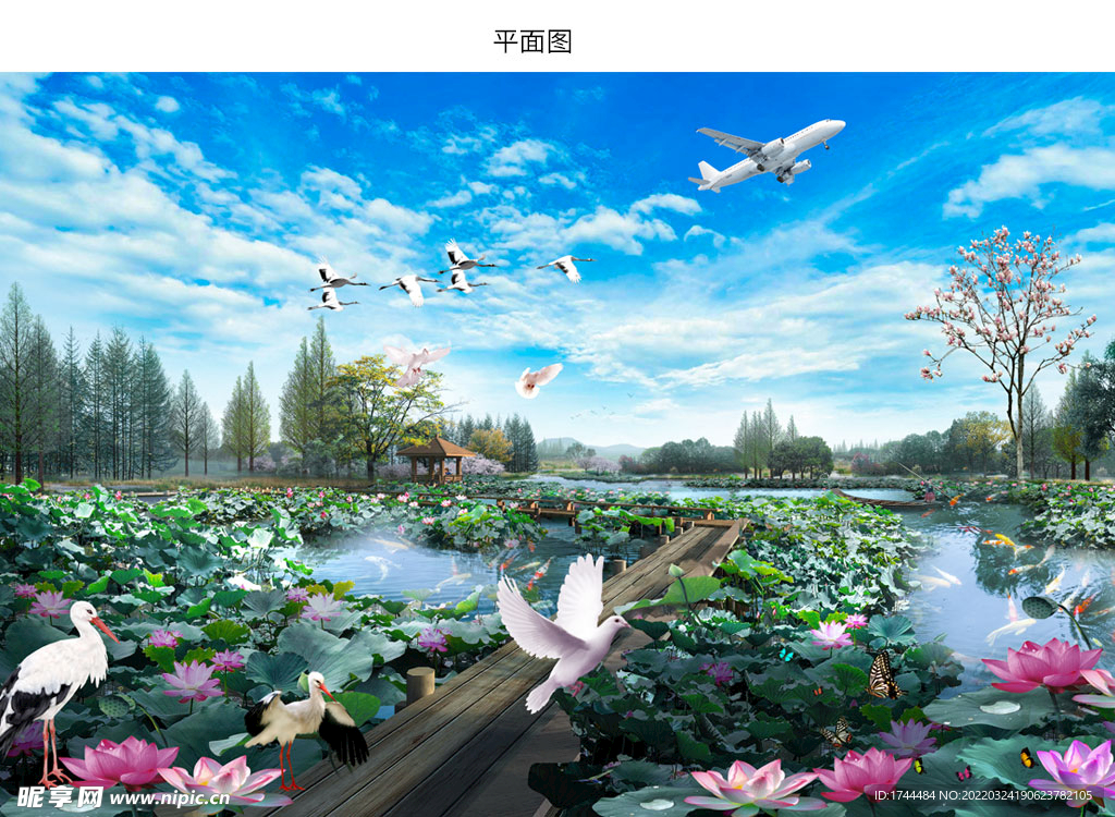 蓝天白云唯美公园池塘荷花风景图