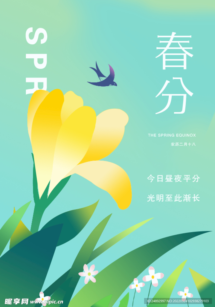 手绘 花