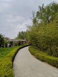 路