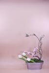 鲜花背景 
