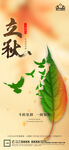 地产立秋秋分微信