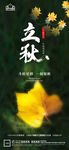 地产立秋秋分微信