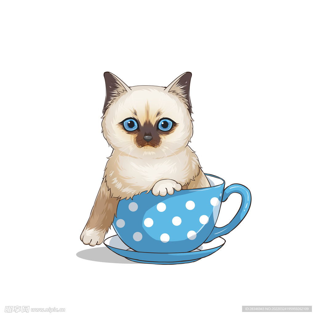 茶杯猫            