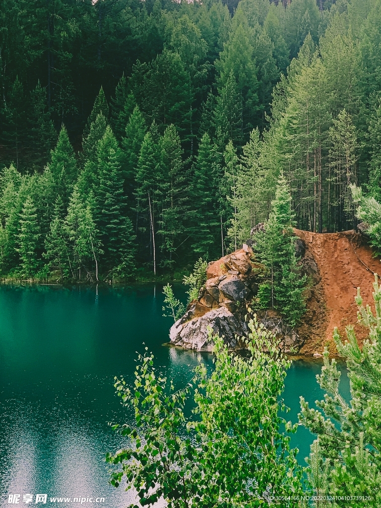 户外森林自然景观