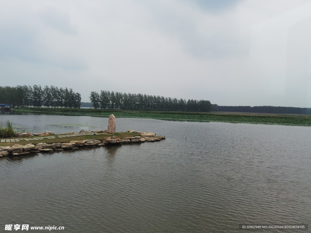 微山湖旅游区荣升5A后，微山湖的荷花也像长了翅膀一样飞出 - 好客山东 好品山东 - 济宁新闻网