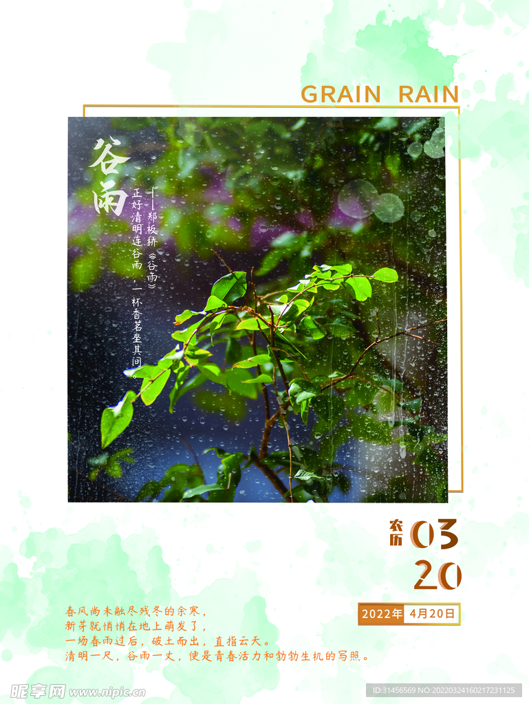 谷雨