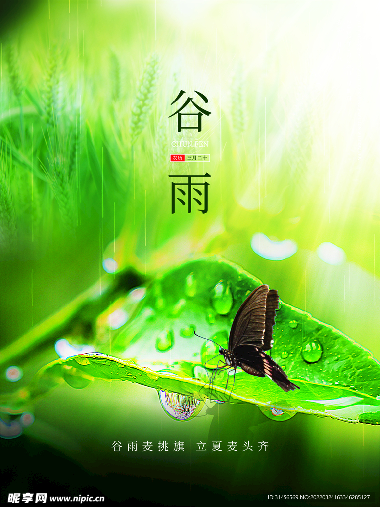 谷雨