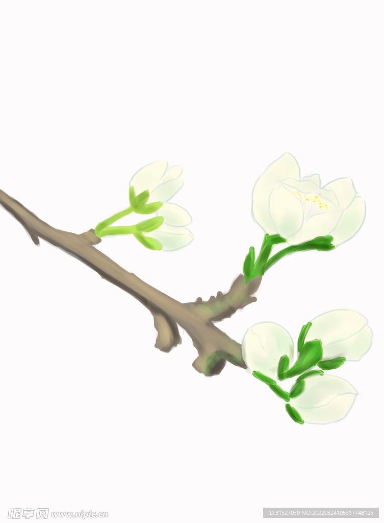 手绘春天梨花素材