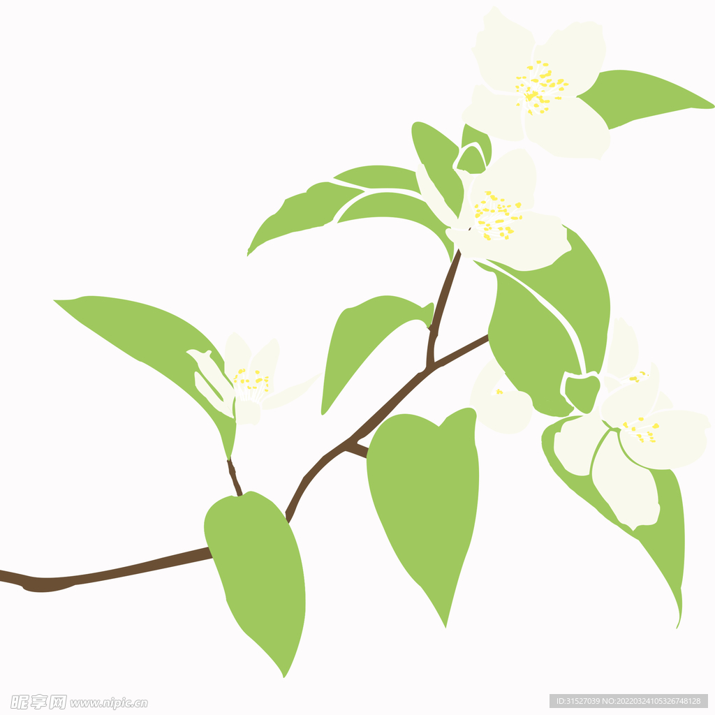 树枝上的梨花
