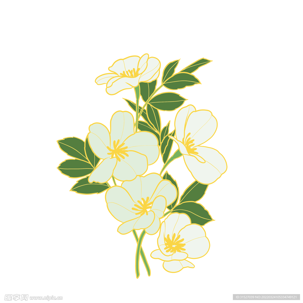 美丽的梨花手绘