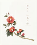 月季