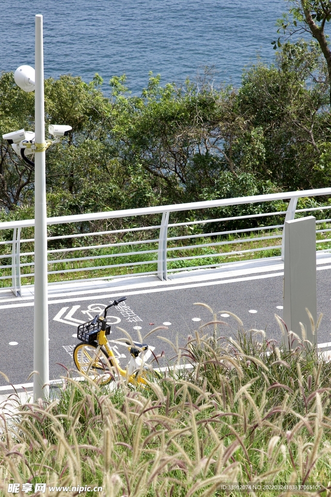 夏日栈道