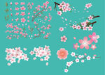 樱花花朵