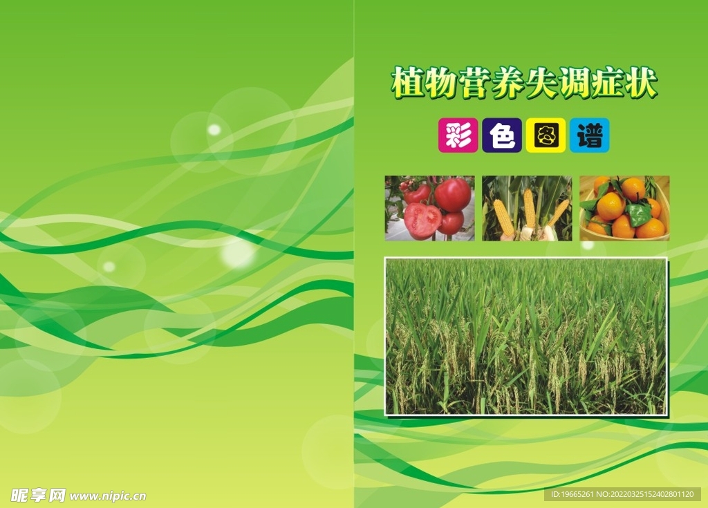 植物营养失调症状彩色图谱