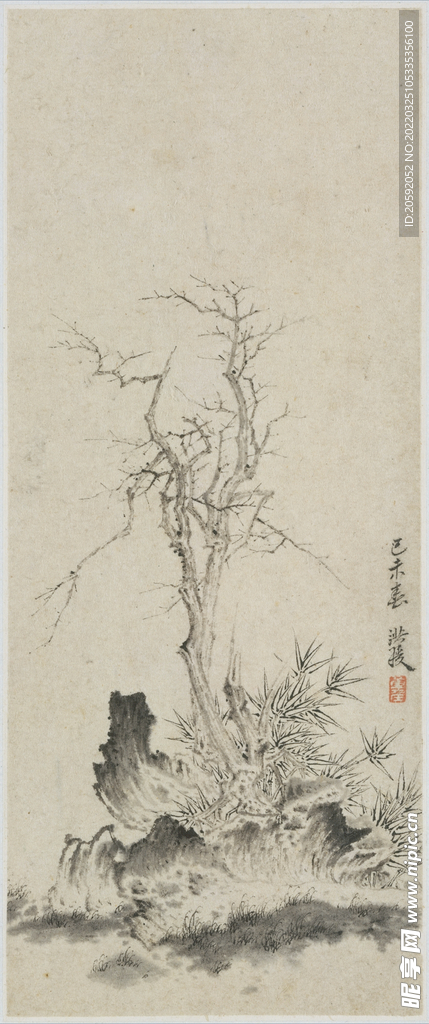 松树  