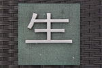 材料艺术