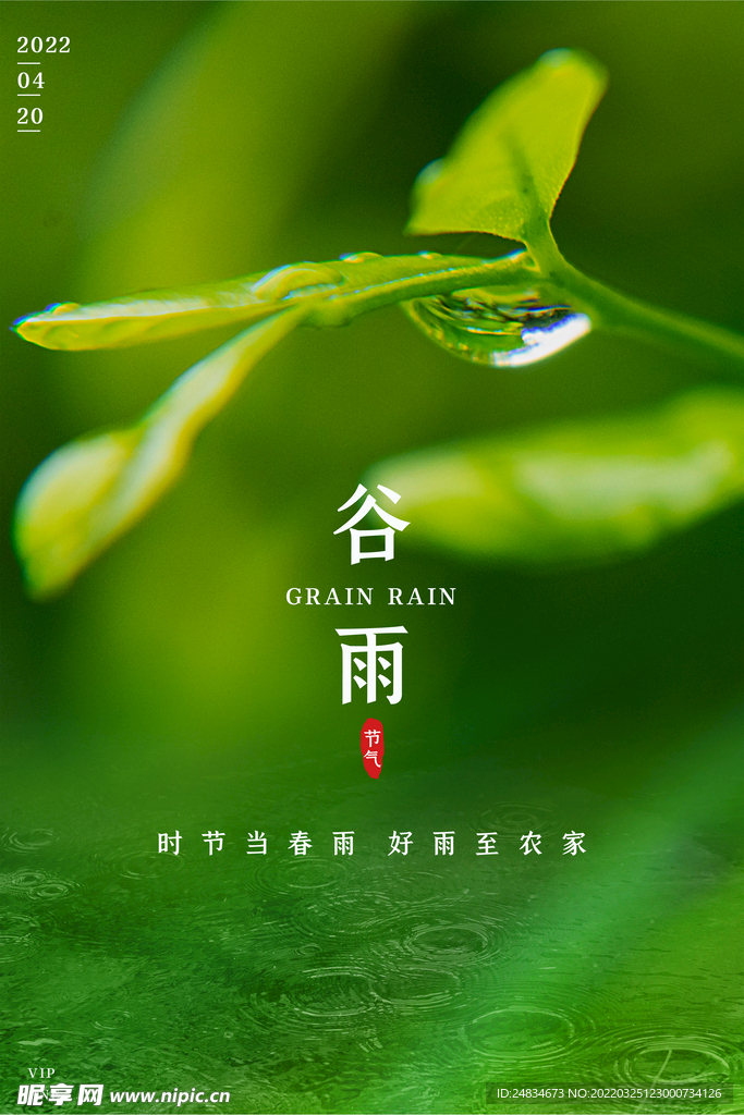 谷雨