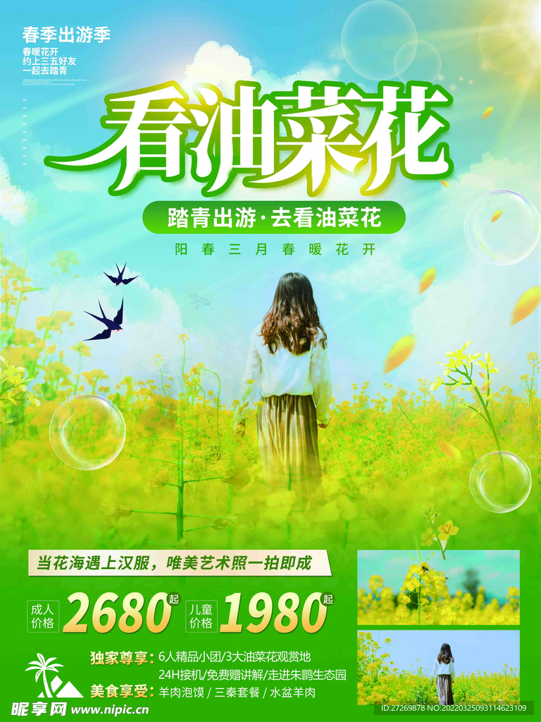 油菜花图片