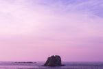 紫色背景