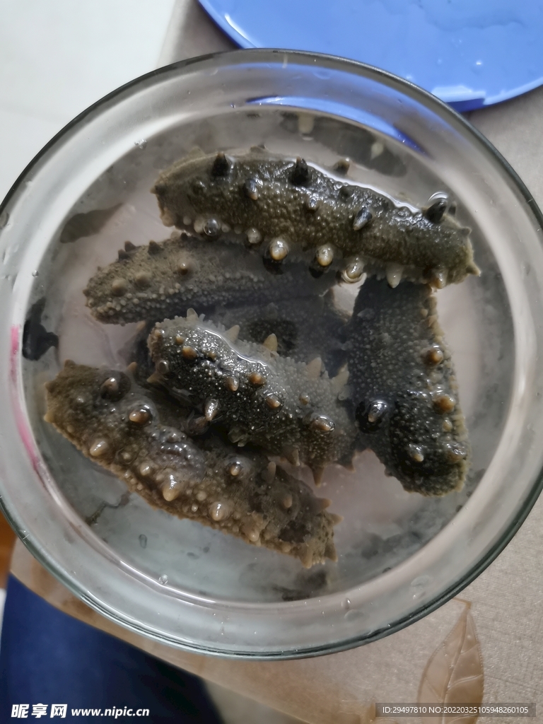泡发海参