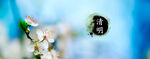 清明节海报模板PSD