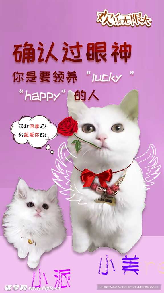 小猫专属幸运图