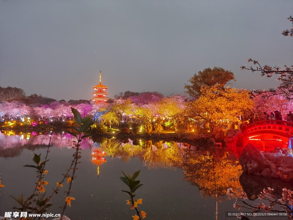 武汉东湖樱花园